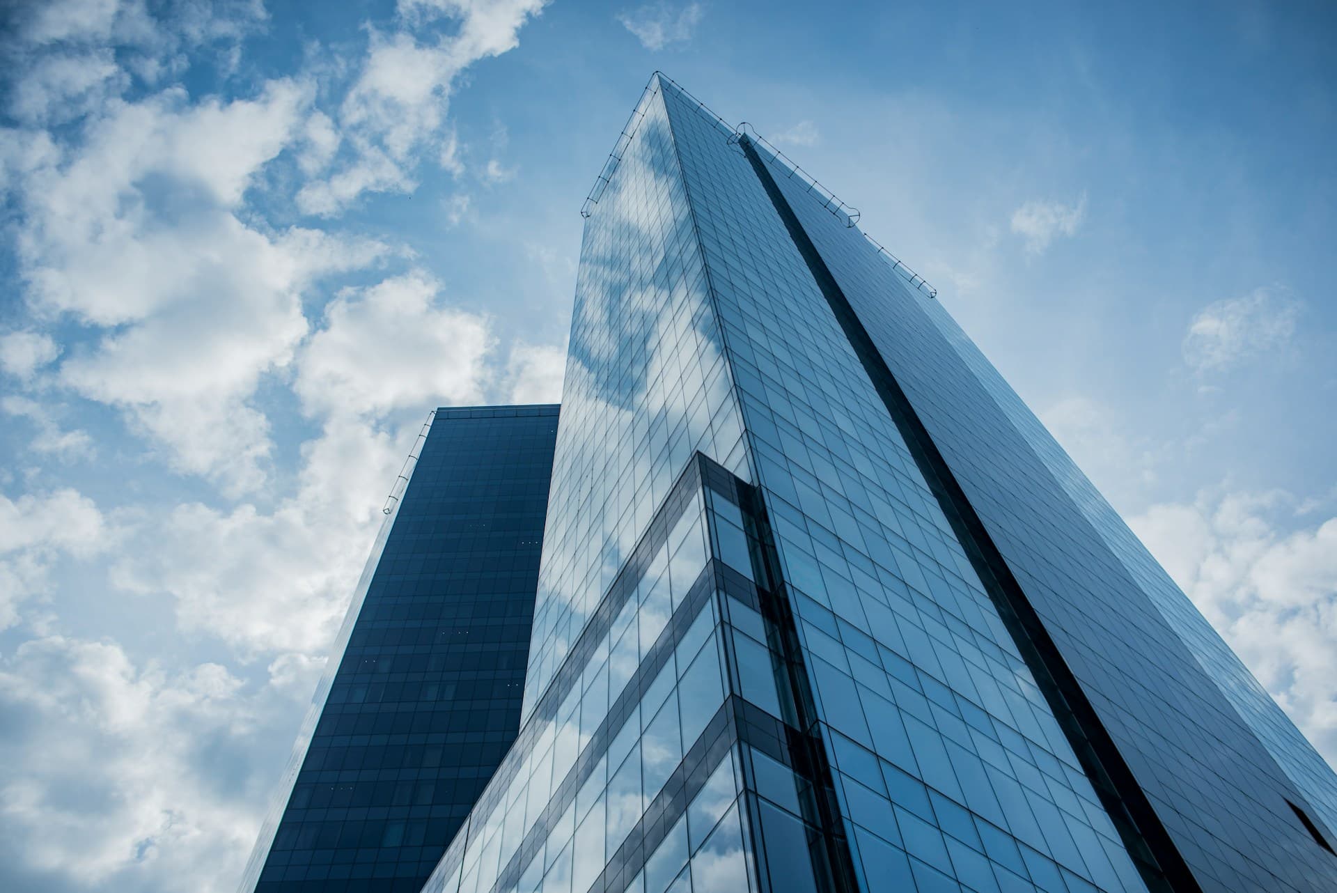 Scale Your Business Digitally Today